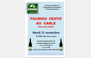 Tournoi festif du mardi 11 novembre 2025