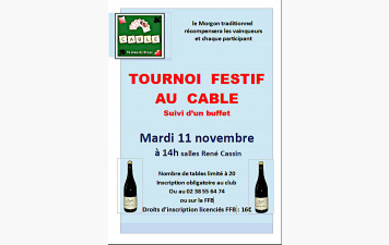 Tournoi festif du mardi 11 novembre 2025